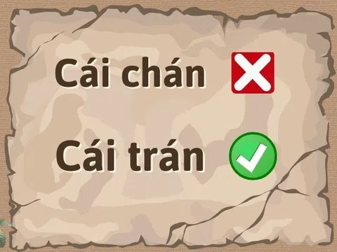 Cái trán hay cái chán: Hiểu đúng và tránh sai chính tả