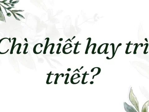 Chì chiết hay trì triết - Bạn có đang dùng từ đúng chưa?