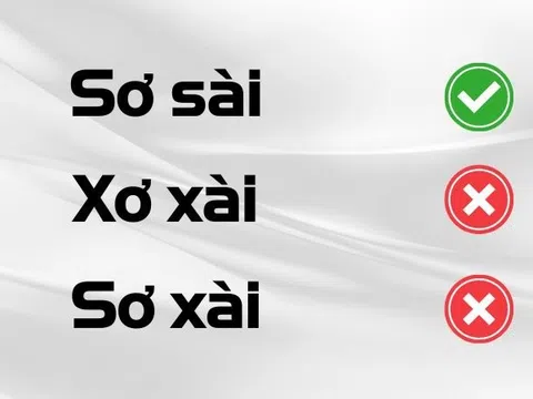 Sơ Sài hay Sơ Xài Mới Là Cụm Từ Đúng Chính Tả