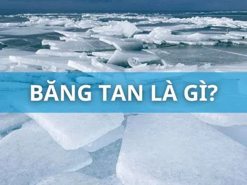 Băng Tan Là Gì? Tìm Hiểu Nguyên Nhân, Hậu Quả & Giải Pháp Ứng Phó!