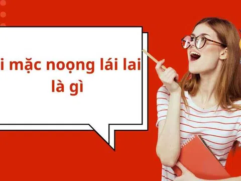 Ai mặc noọng lái lai là gì? Giải mã câu nói "gây bão" mạng xã hội!