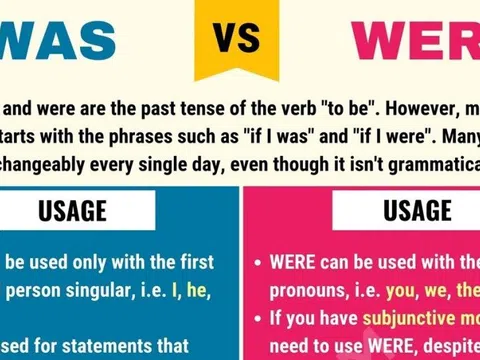 Khi Nào Dùng Was và Were? "Bí Kíp" Phân Biệt & Sử Dụng "Chuẩn Không Cần Chỉnh"!