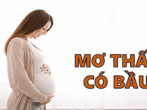 Mơ Mình Có Bầu Đánh Con Gì? Giải Mã Bí Ẩn & Con Số May Mắn!